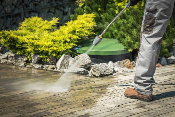 Best Soft Washing  in Elk Grove Vlage, IL